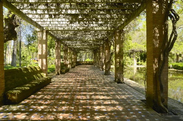 Galleria nel parco — Foto Stock