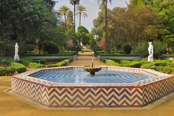 Parque lagoa — Fotografia de Stock