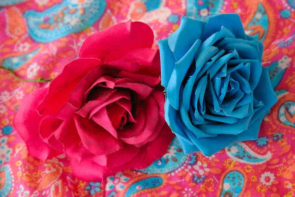 Fuchsia en turquoise rozen — Stockfoto