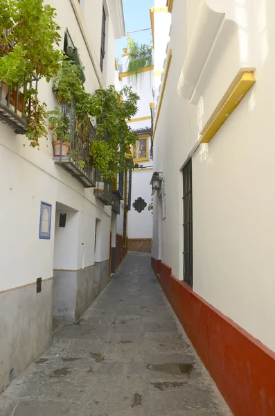 Traditionele smalle Sevilla-straat — Stockfoto