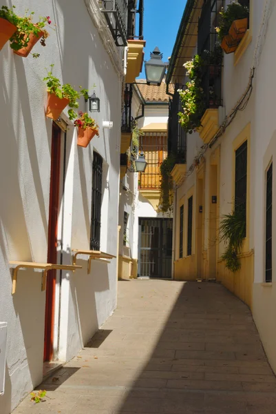Traditionella cordoba street — Stockfoto