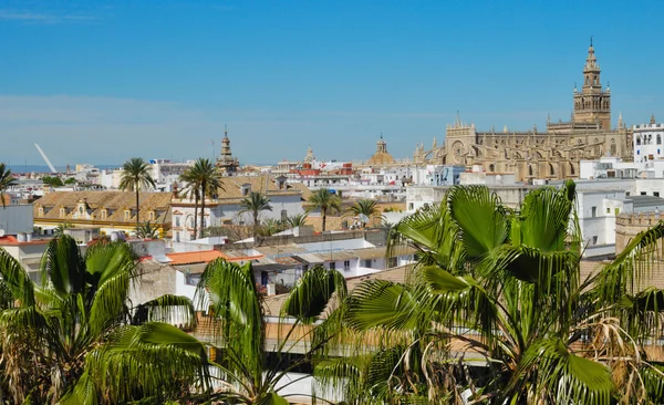 Blick auf die Kathedrale von Sevilla, Spanien — Stockfoto