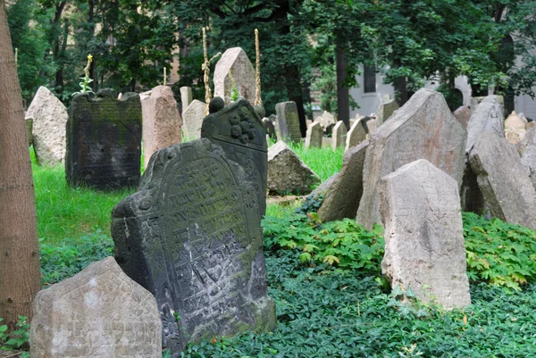 Il vecchio cimitero ebraico — Foto Stock