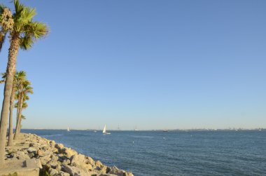 Sahil mesire avuç içi