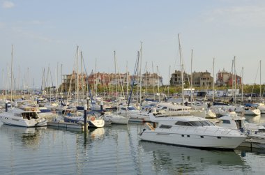 Sherry bağlantı noktası