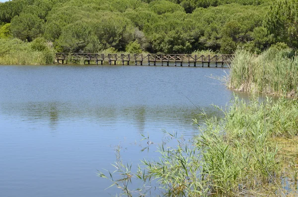 Grande lago no campo de golfe — Fotografia de Stock