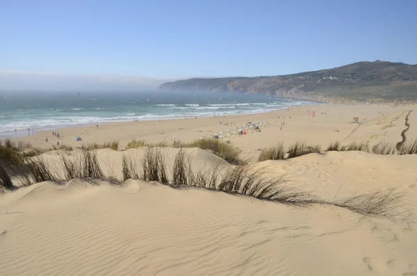 Surfing beach — Stock fotografie