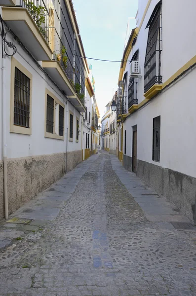 Rua Cobblestone — Fotografia de Stock