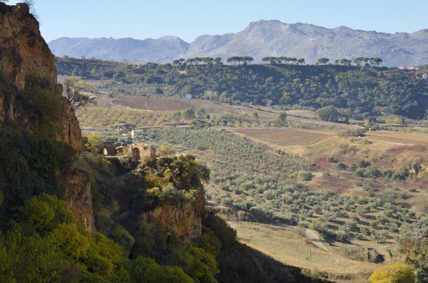 Ronda countryside — Stock Photo, Image