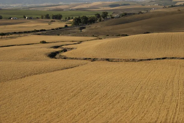 Andalusische landschap — Stockfoto