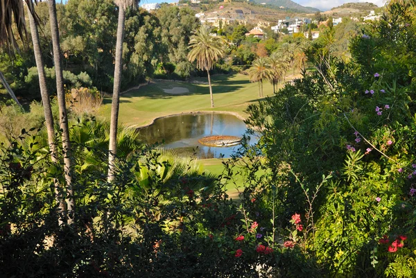 Lago de golf hermoso — Foto de Stock