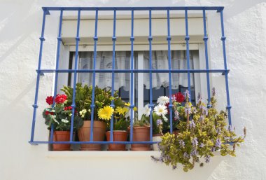 Tencere penceresinde