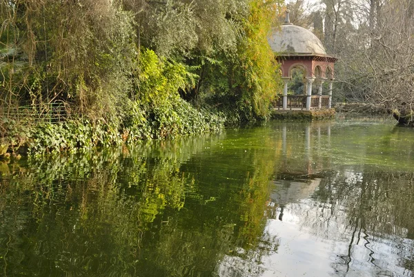 Parque del Árbol — Foto de Stock