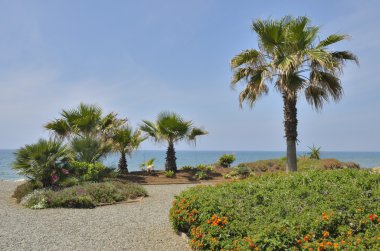 Garden Beach