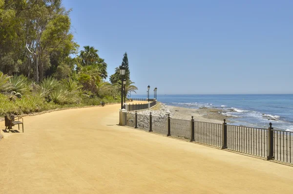 Camino de playa —  Fotos de Stock