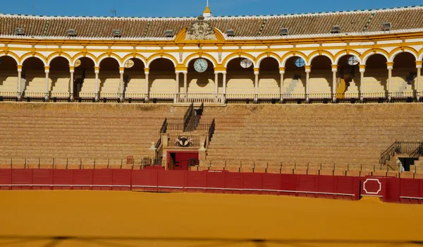 Anel de touros — Fotografia de Stock