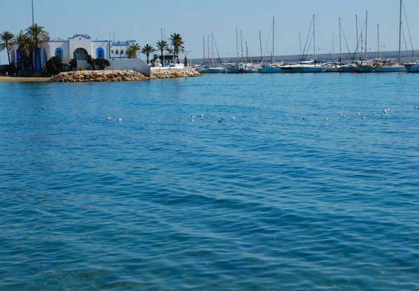 Marbella port — Stock Photo, Image