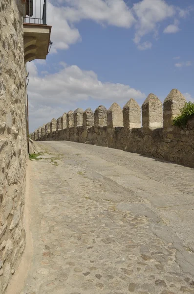 Arnavut kaldırımlı yol — Stok fotoğraf