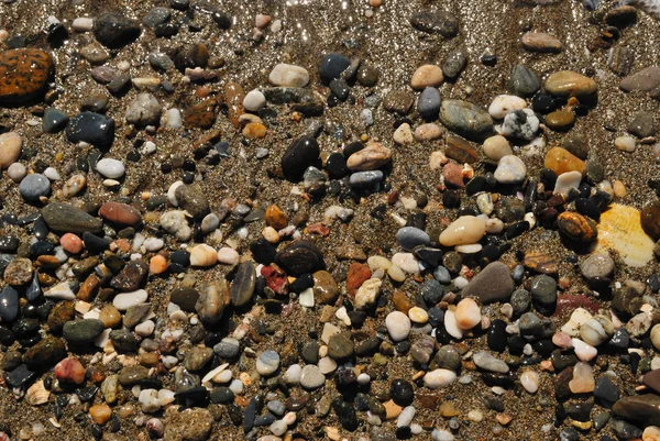 Pedras praia — Fotografia de Stock