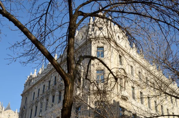 Edificio Storico Fronte Albero Nudo Nella Città Budapest Ungheria — Foto Stock