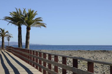 Palm trees next to litoral wooden  footpath in Saint Peter beach in Marbella, Andalusia, Spain.