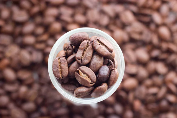 kahve çekirdekleri ile beyaz fincan