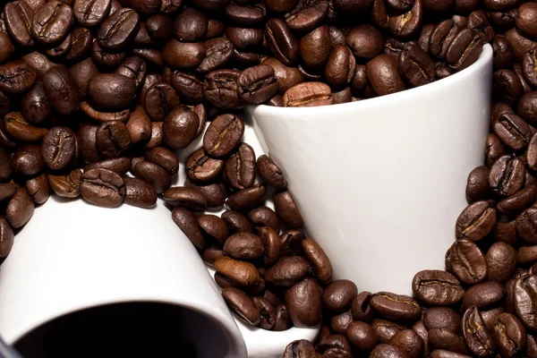 bardak kahve çekirdekleri üzerine