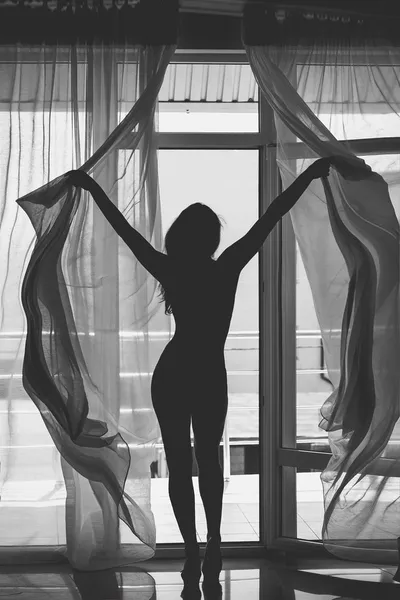 Silhouette de femme vue par la fenêtre Images De Stock Libres De Droits