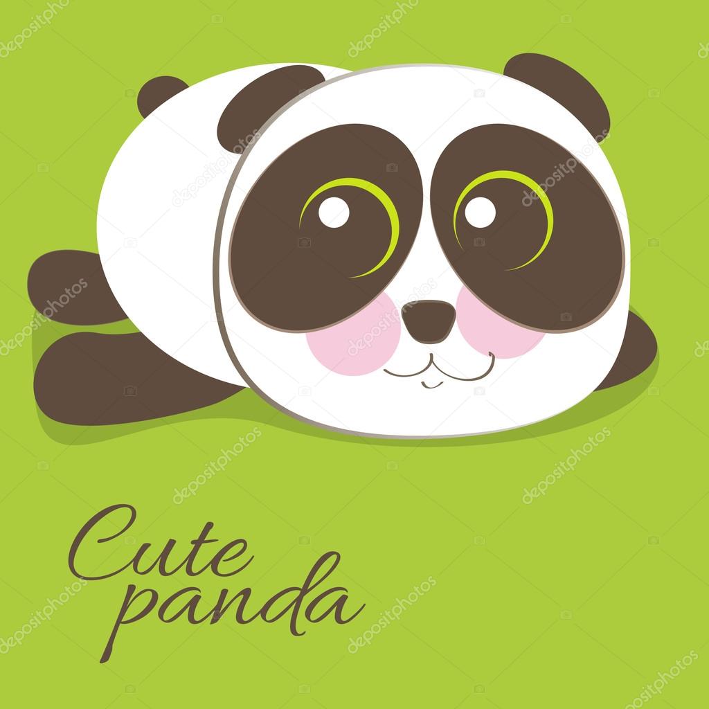 Cute young baby panda bear .