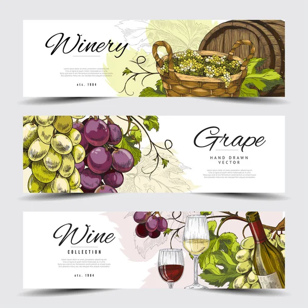 Conjunto de folhetos para promoção de produtos vinícolas, ilustração vetorial esboço. —  Vetores de Stock