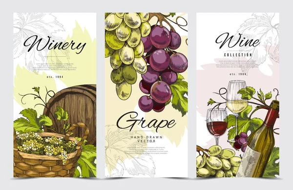 Tarjetas o folletos para la tienda de bodegas y la producción de vino ilustración vectorial. — Vector de stock