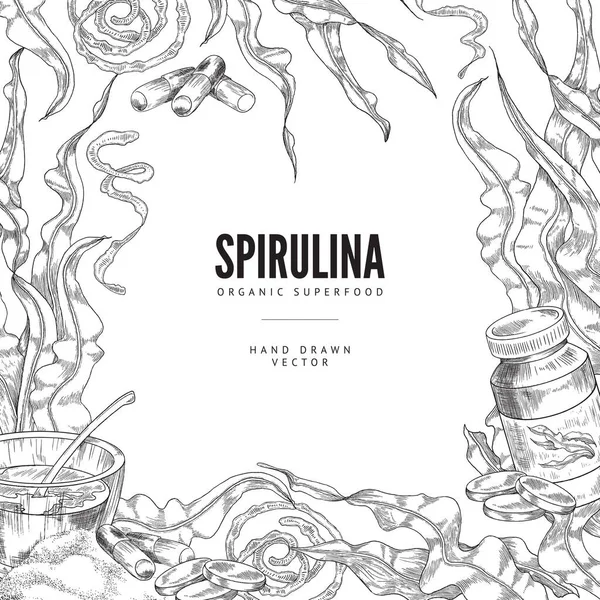 Spirulina supliment alge marine desenat manual schiță, cadru vectorial organic superfood — Vector de stoc