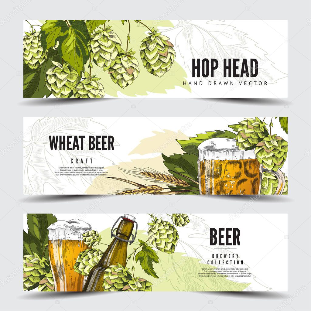 Beer brewery banners with color images of hop and wheat, vector illustration.