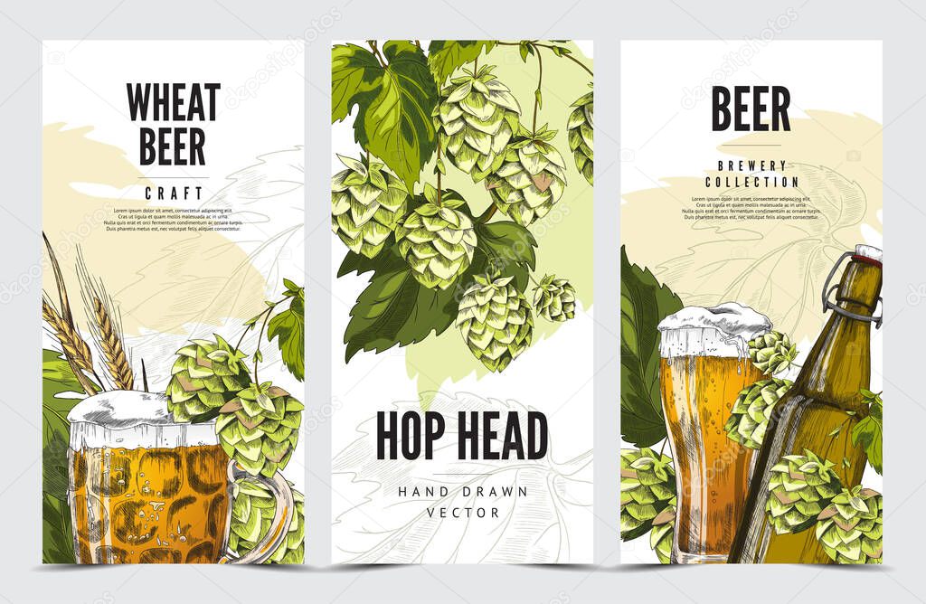 Craft hop and wheat beer brewery banners hand drawn vector illustration.