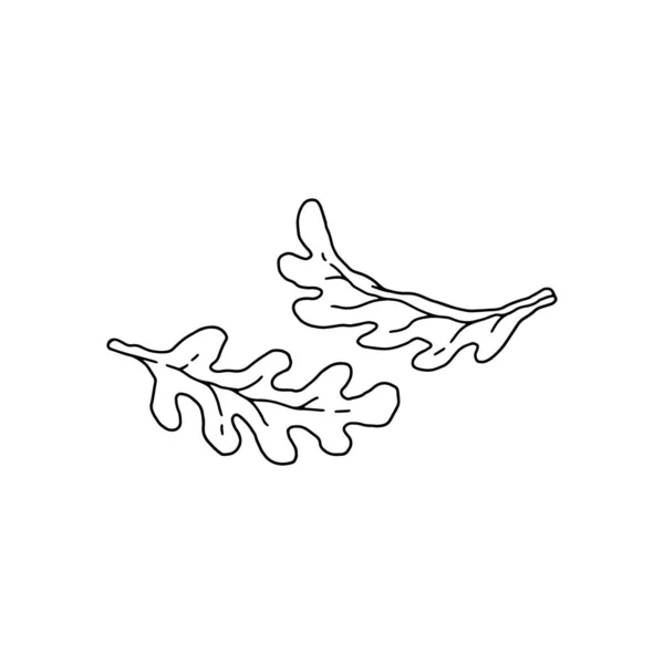 Arugula矢量图标。素食主义者绿叶食物的黑白手绘草图，背景为白色. — 图库矢量图片