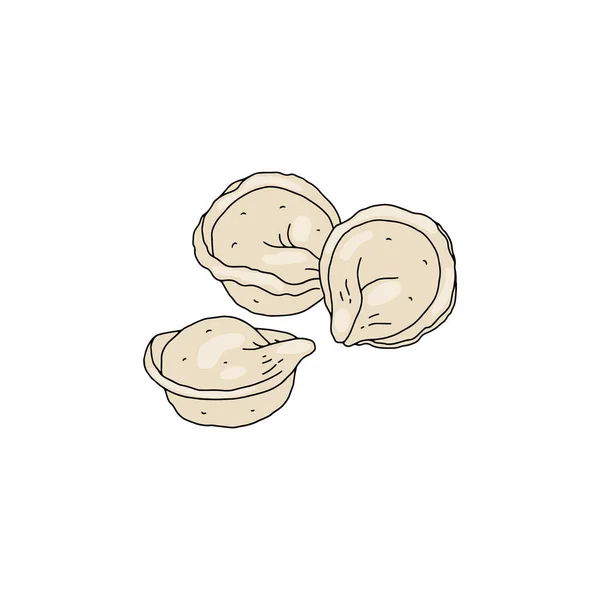 Tasty handmade dumplings from dough, meat in colored sketch vector illustration — Stock Vector