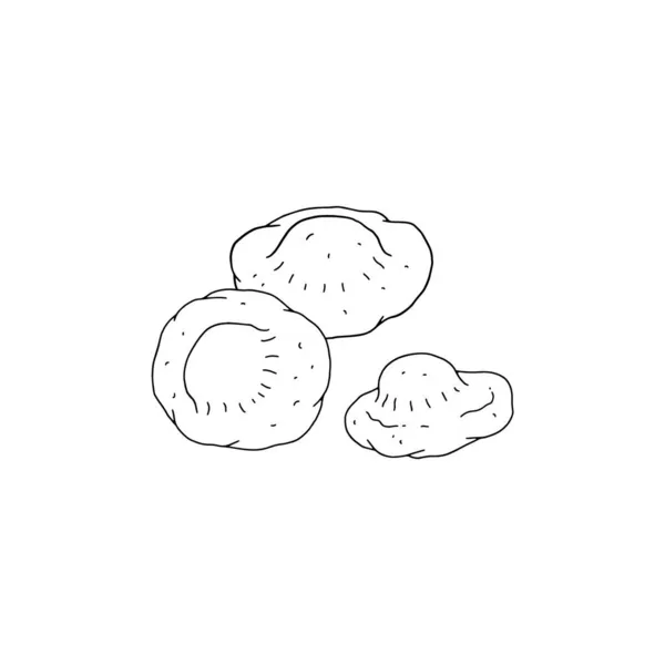 Gnocchi ή μικρό dumpling με γέμιση, μαύρη γραμμή διανυσματική απεικόνιση απομονωμένη. — Διανυσματικό Αρχείο