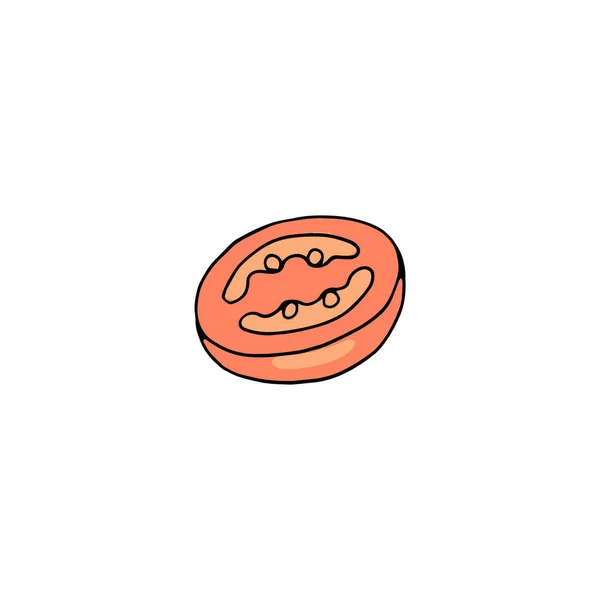 Metade de tomate maduro vermelho, desenhado à mão ilustração vetorial colorido isolado. —  Vetores de Stock