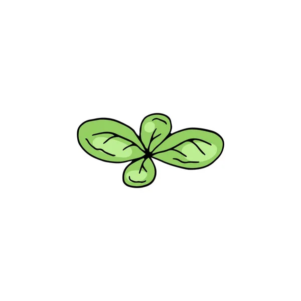 Hoja de albahaca verde en dibujo ilustración vectorial aislado sobre fondo blanco. — Vector de stock