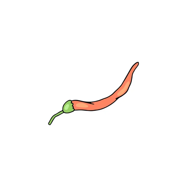 Piment rouge chaud entier ou gousse de poivre de Cayenne, illustration vectorielle de couleur isolée. — Image vectorielle