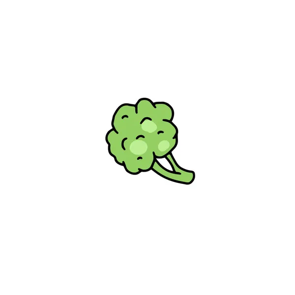 Zielone liście kręconej pietruszki w szkicu wektor ilustracji izolowane na białym — Wektor stockowy
