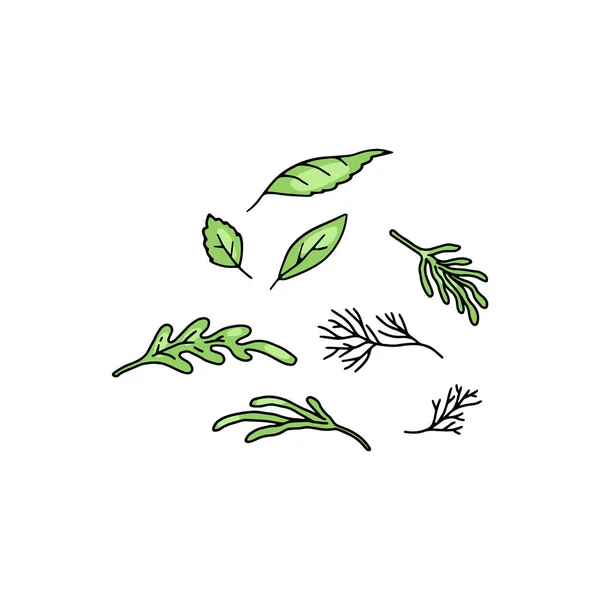 Пряные травяные листья и ветви, цветные наброски, изолированная векторная иллюстрация. — стоковый вектор