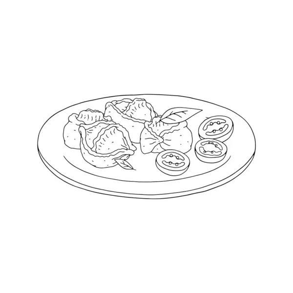 Dumplings manti sur plaque illustration dessinée à la main isolée sur fond blanc. — Image vectorielle