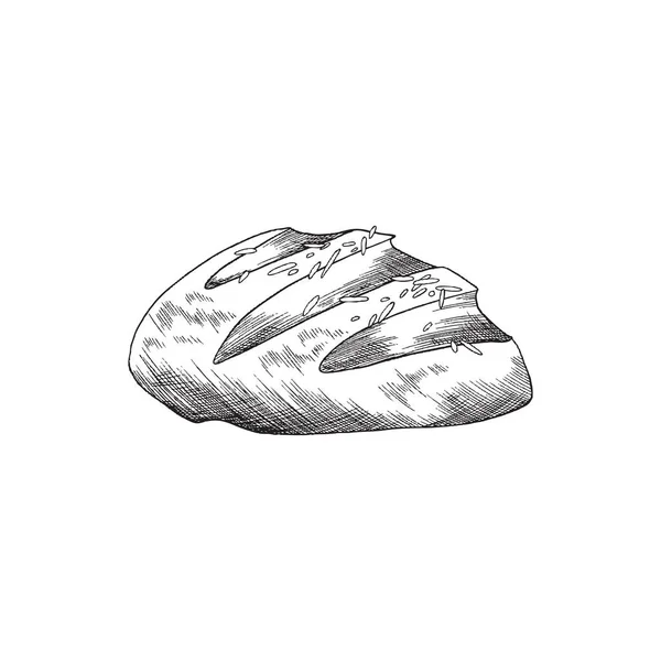 Hand drawn bread in engraved sketch style - vector illustration isolated on white background. — Stock Vector