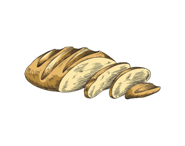 Ręcznie rysowany chleb w kolorowym stylu szkic, ilustracja wektor izolowane na białym tle. — Wektor stockowy