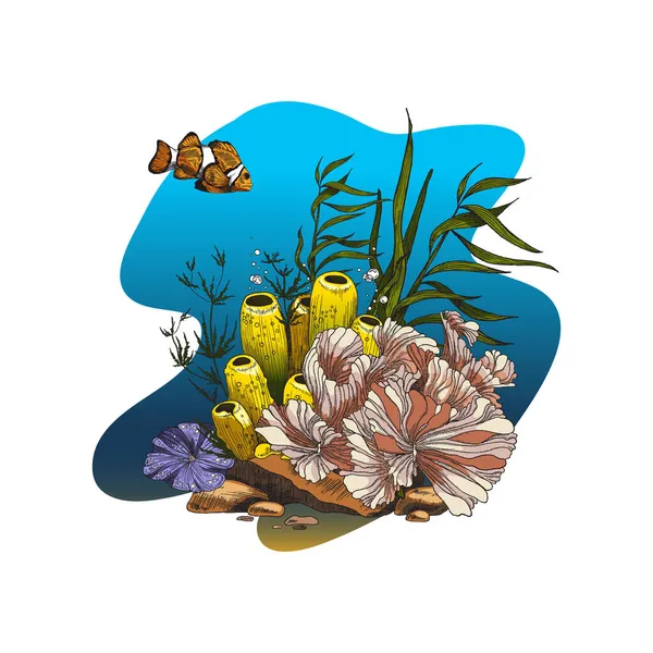 Bandeira do mar com plantas de recifes de coral e peixes, ilustração vetorial isolada. — Vetor de Stock