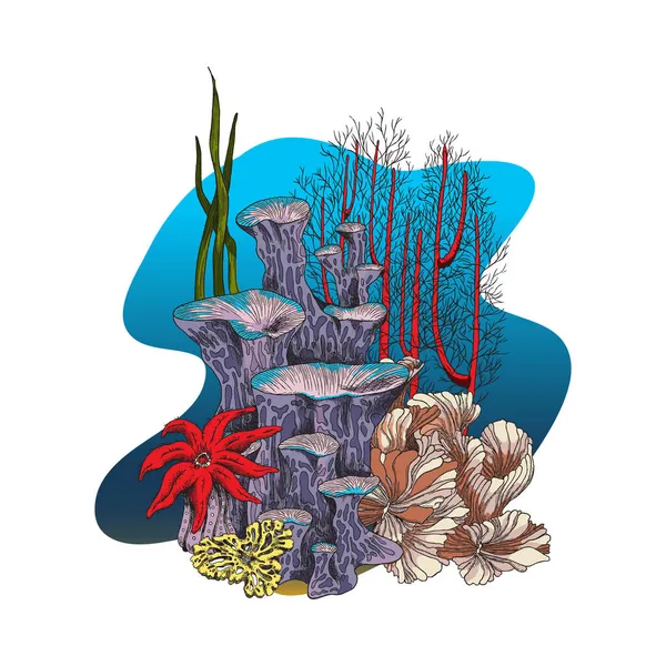 Korallrev med havsanemon, svamp och laminaria alger, skiss vektor illustration isolerad på vit bakgrund. — Stock vektor