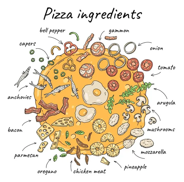 Esquema de ingredientes de pizza con varias adiciones de alimentos ilustración vectorial aislado. — Vector de stock