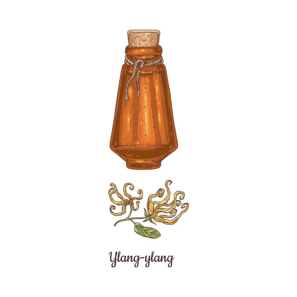 Иланг Иланг цветок и Кананга эфирное масло акварель векторной иллюстрации. Стеклянная бутылка с ароматом духов иланга — стоковый вектор