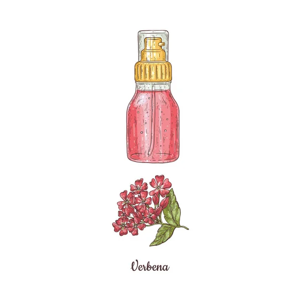 Aromatisk olja med verbena i glas transparent flaska i skiss vektor — Stock vektor